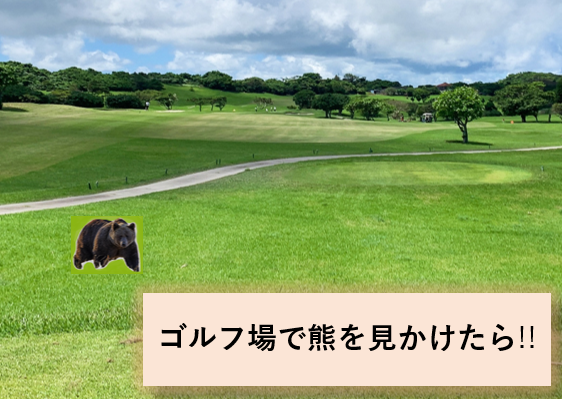 ゴルフ場で熊を見かけたら!! あなたならどうする？ | わたしのゴルフ